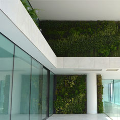 Beirut Terasse, 2016