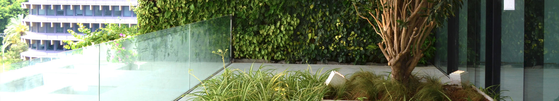 Beirut Terasse, 2016