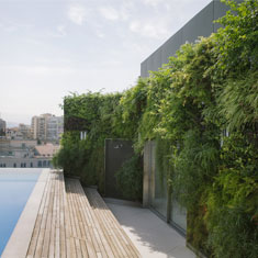 Fadel residence, 2015