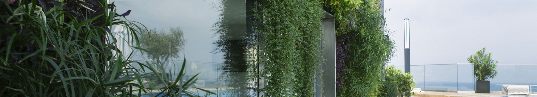 Fadel residence, 2015