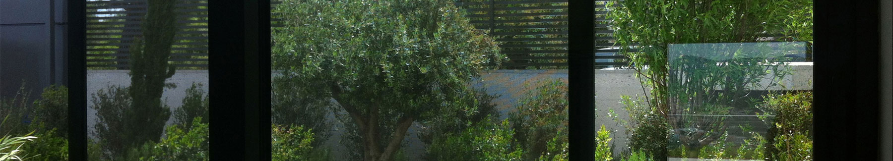 Εκάλη (2), Αθήνα