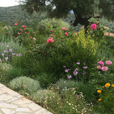 Μεγανήσι (1)