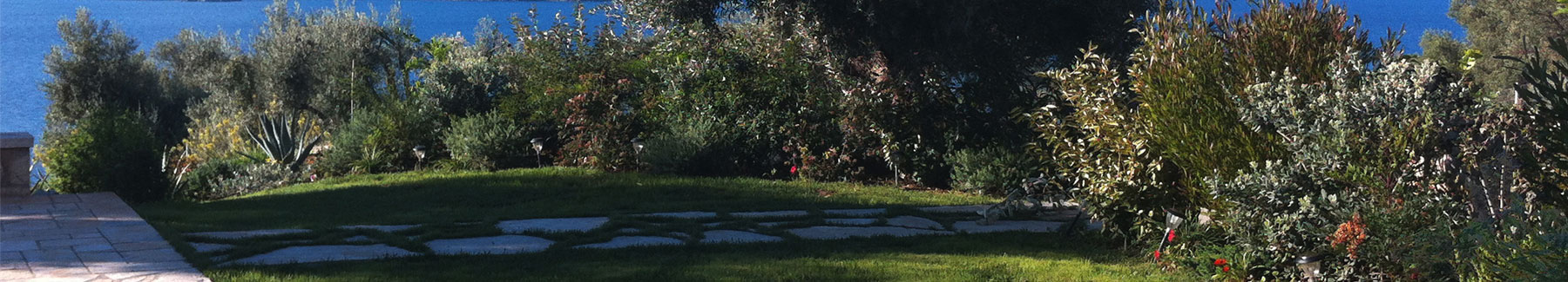 Μεγανήσι (1)