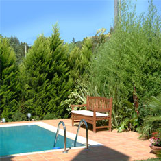 Φιλοθέη (2), Αθήνα