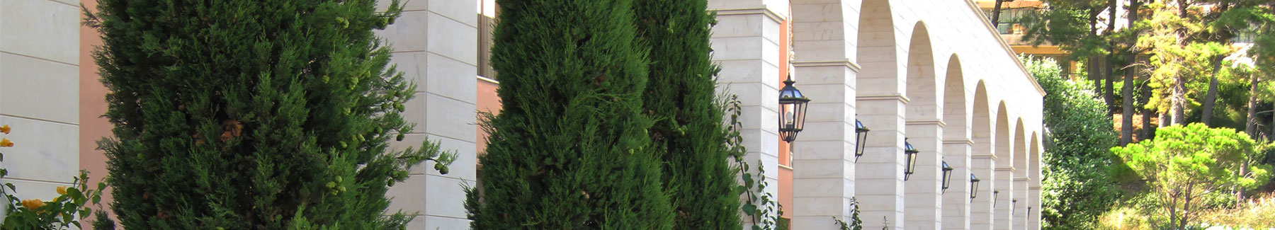 Ermones  Resort & Spa 5+