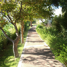 Hapimag  Resort  Damnoni 5+