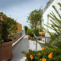 Πλάκα, Αθήνα