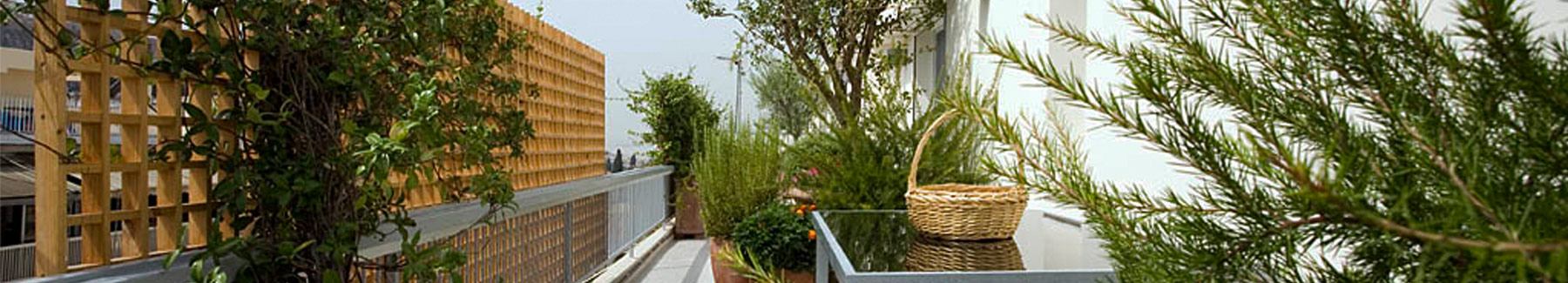 Πλάκα, Αθήνα