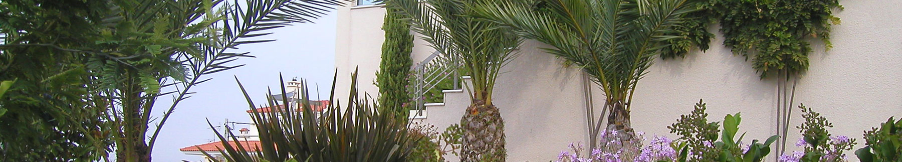 Βούλα, Αθήνα