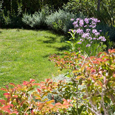 Ν. Πεντέλη, Αθήνα