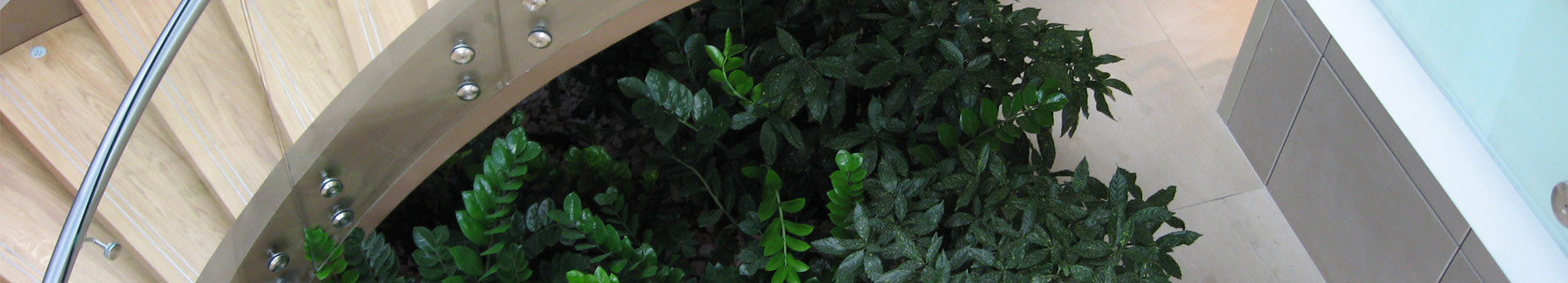 Daios Luxury Living 5+