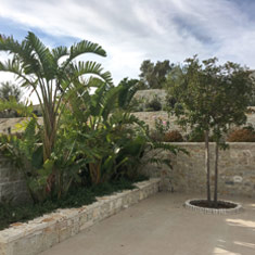 Μεγανήσι (2)