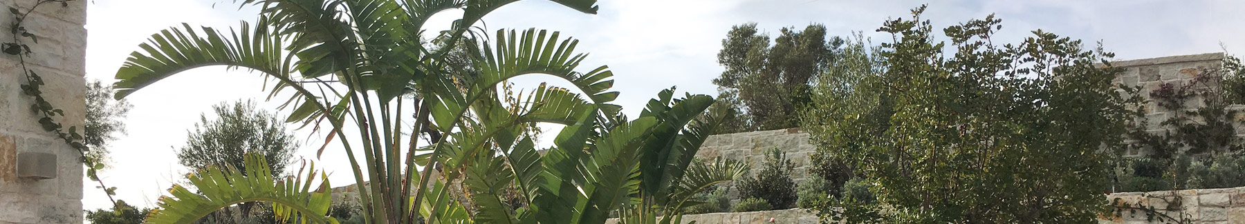 Μεγανήσι (2)