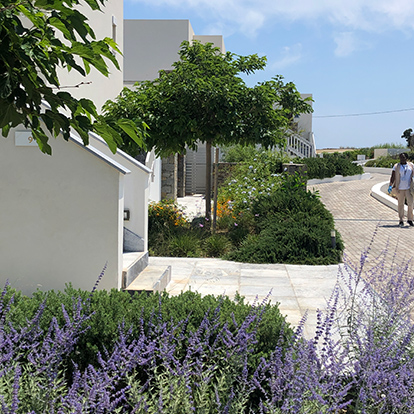 Summer Senses Luxury Resort 5* 