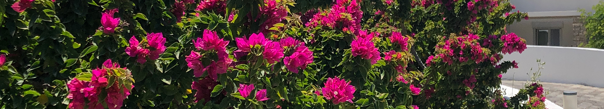 Summer Senses Luxury Resort 5* 