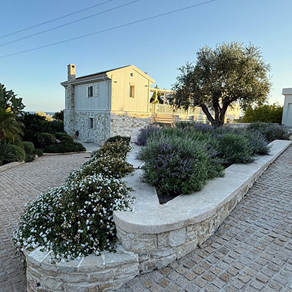 Μεγανήσι (3)