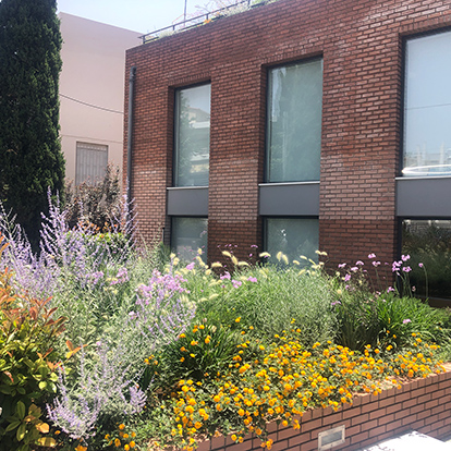 Καρακουσόγλου Ορθοδοντική