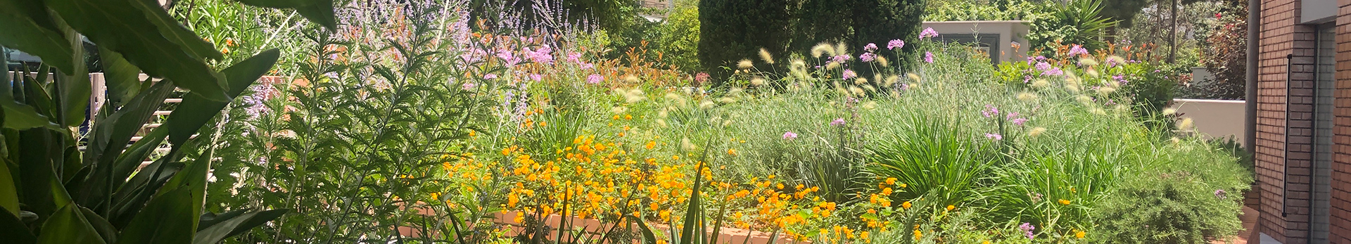 Καρακουσόγλου Ορθοδοντική